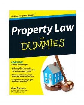 Property Law For Dummies خرید کتاب زبان