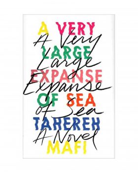 A Very Large Expanse of Sea کتاب زبان