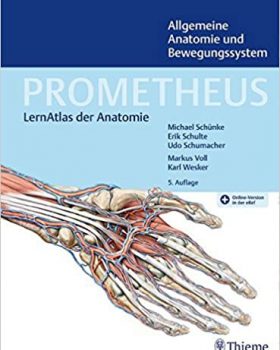 PROMETHEUS Allgemeine Anatomie und Bewegungssystem: LernAtlas der Anatomie