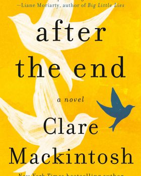 after the end clare mackintosh