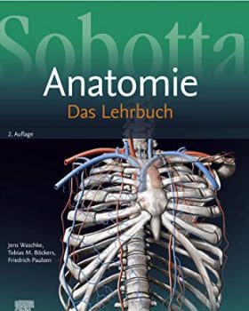 Sobotta Lehrbuch Anatomie