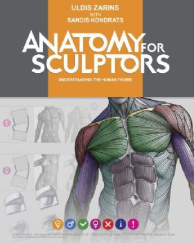 Anatomy for Sculptors Understanding the Human Figure