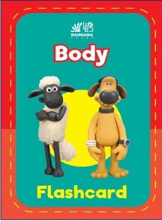 Body Flashcard
